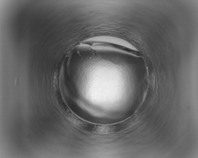 X0000070210127200606091634