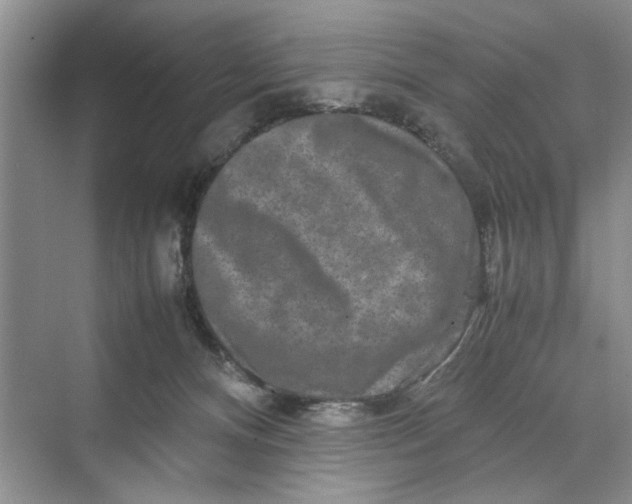 X0000070210128200606091634