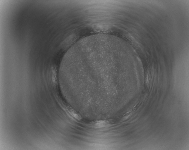 X0000070210130200606091634