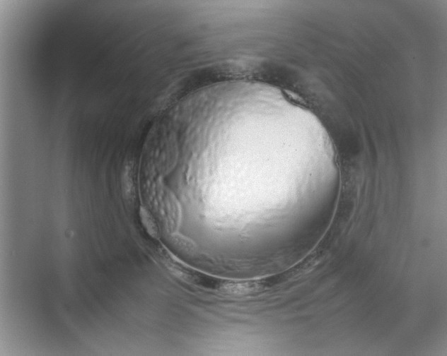 X0000070210131200606091634