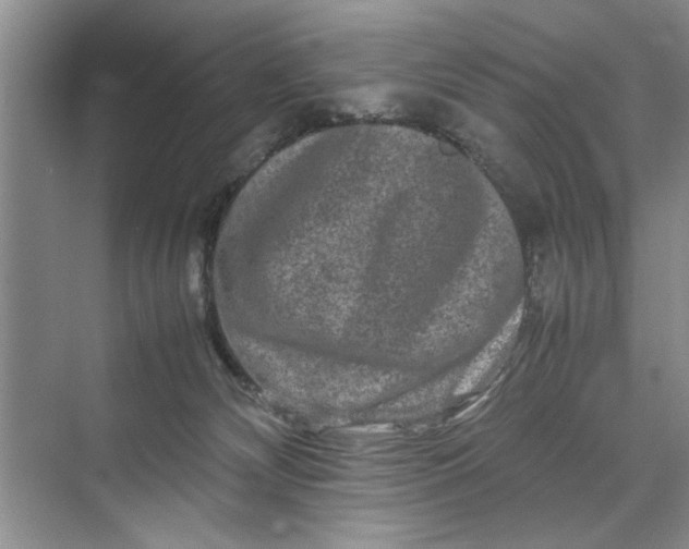 X0000070210132200606091634