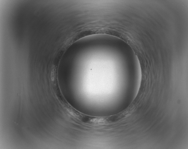 X0000070210133200606091634