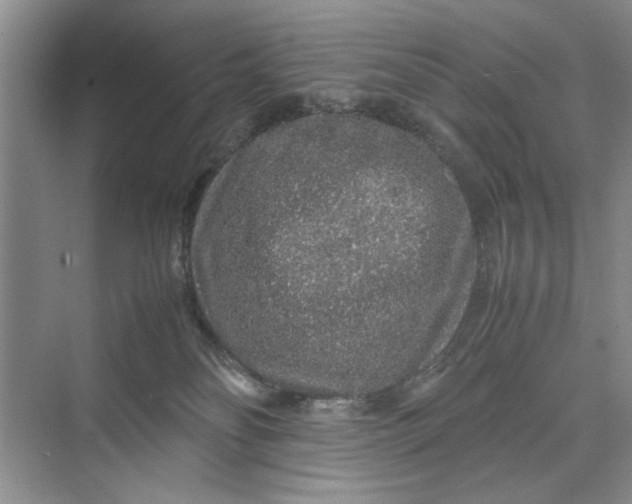 X0000070210134200606091634