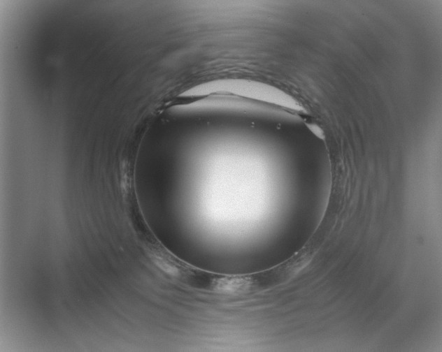 X0000070210135200606091634