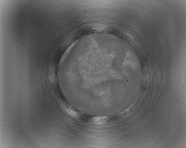 X0000070210136200606091634