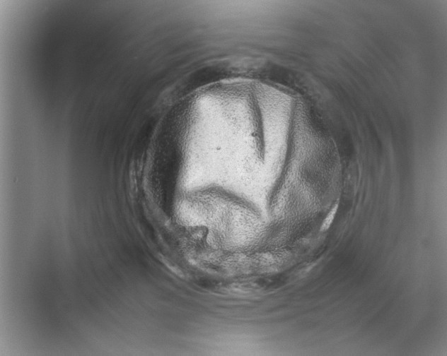 X0000070210137200606091634