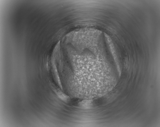 X0000070210138200606091634