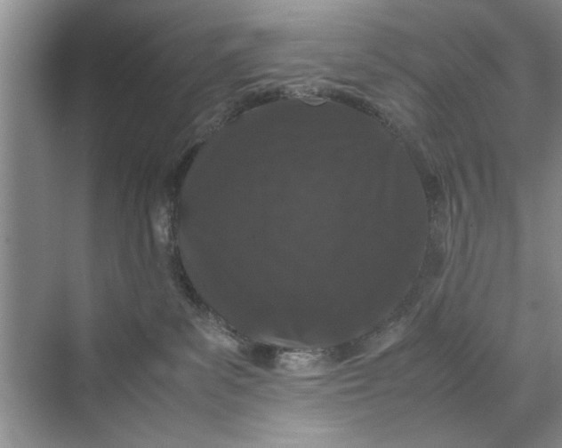 X0000070210139200606091634