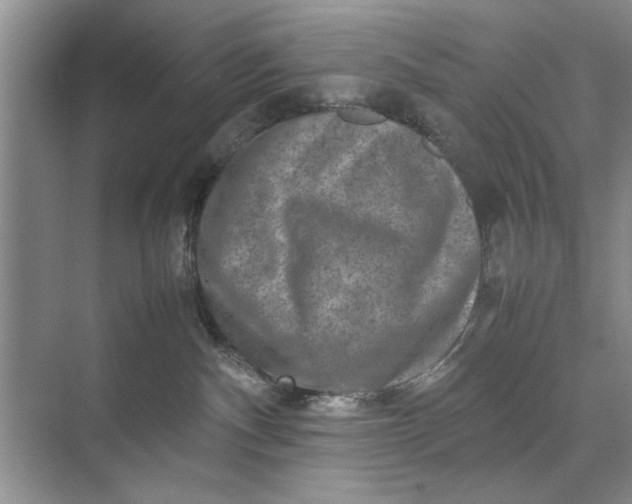 X0000070210140200606091634