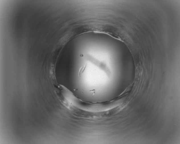 X0000070210141200606091634