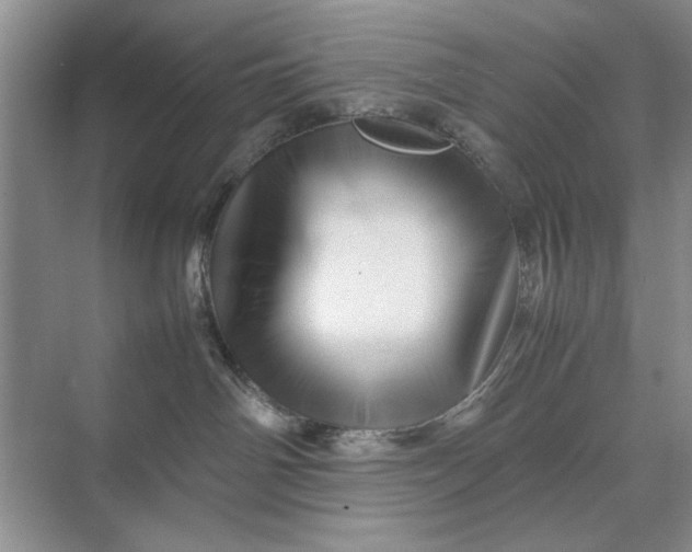 X0000070210142200606091634