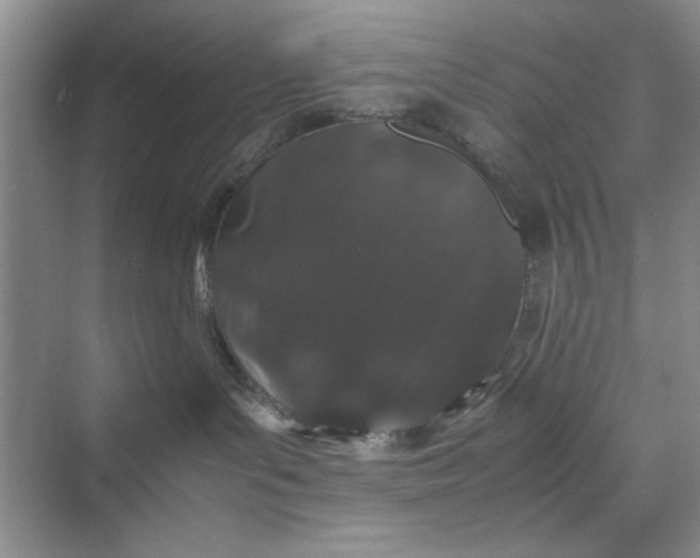 X0000070210143200606091634