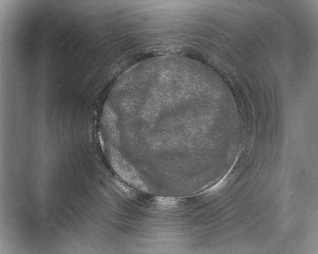 X0000070210144200606091634