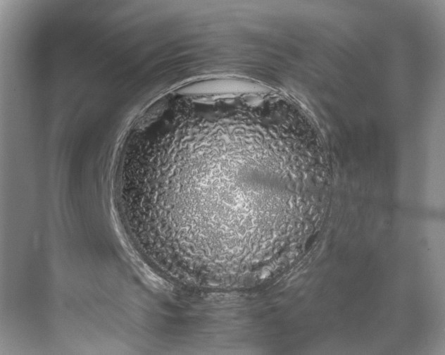 X0000070210145200606091633