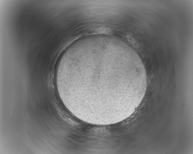 X0000070210146200606091633