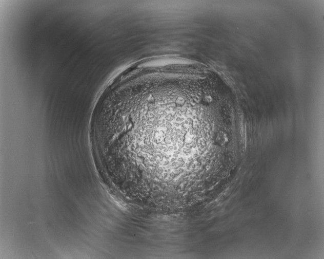 X0000070210147200606091633