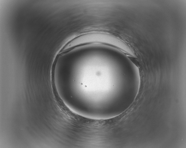 X0000070210148200606091633