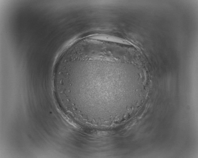 X0000070210149200606091633