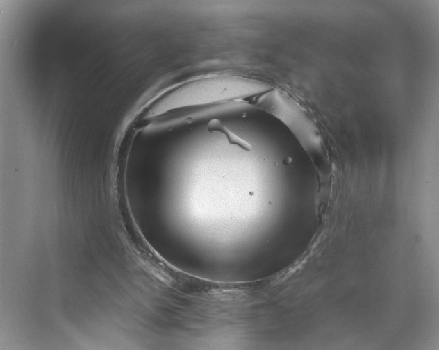 X0000070210150200606091633