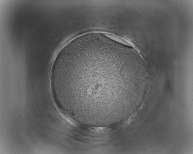 X0000070210151200606091633