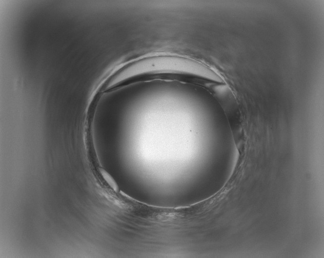 X0000070210152200606091633