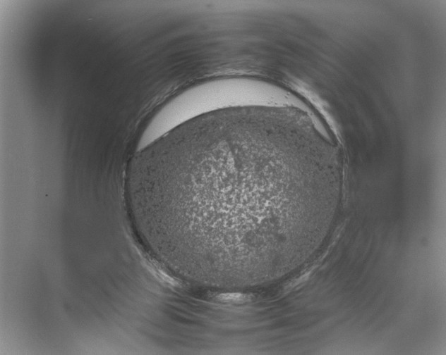 X0000070210153200606091633