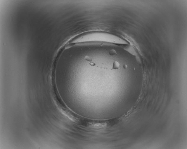 X0000070210155200606091633