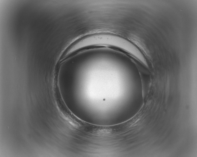 X0000070210156200606091633