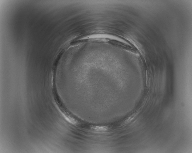 X0000070210157200606091633