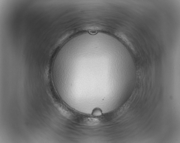 X0000070210159200606091633