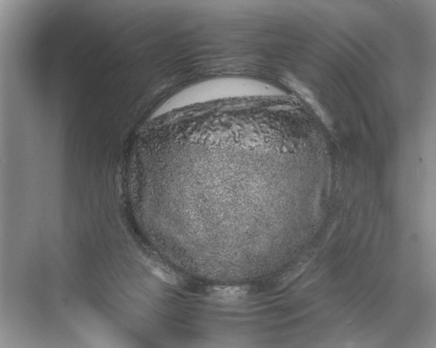 X0000070210161200606091633