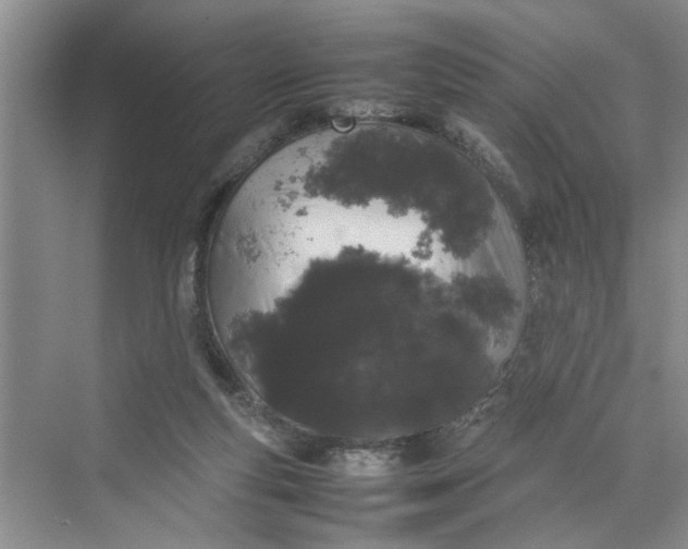 X0000070210163200606091633