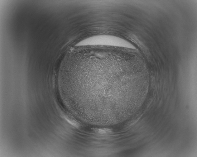 X0000070210165200606091633