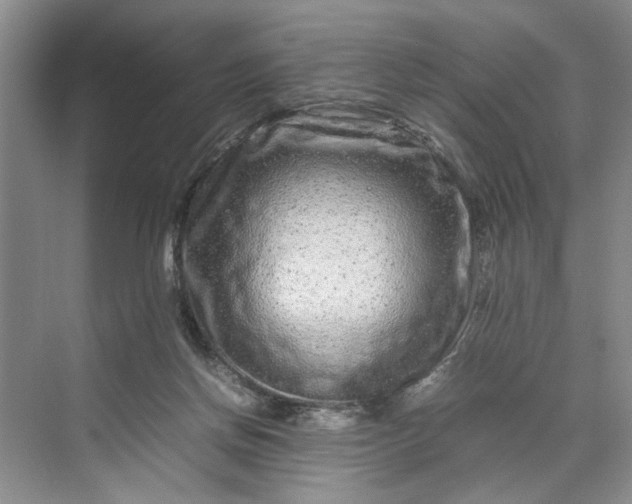 X0000070210166200606091633