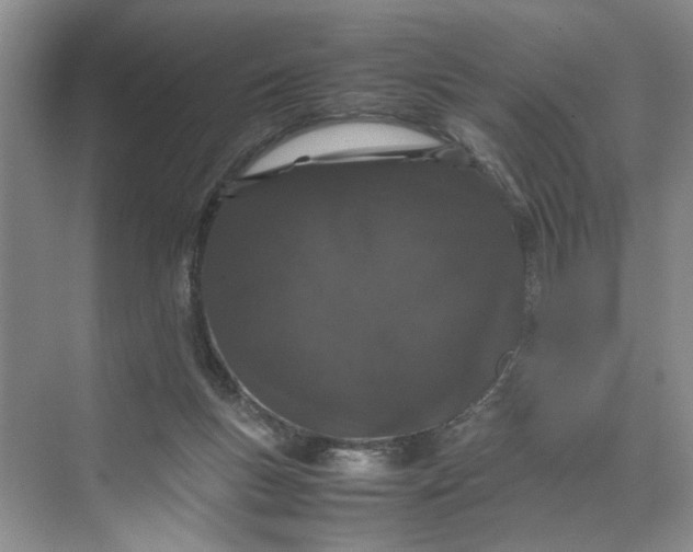 X0000070210167200606091633