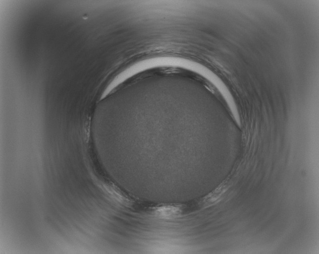 X0000070210168200606091633