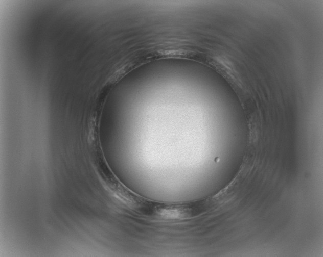 X0000070210171200606091634