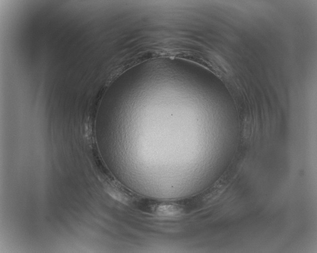 X0000070210173200606091634