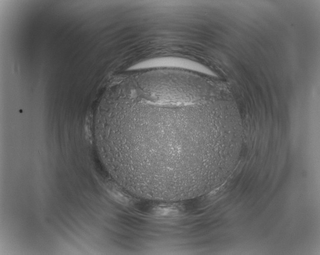 X0000070210175200606091634