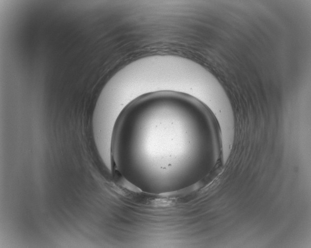 X0000070210176200606091634