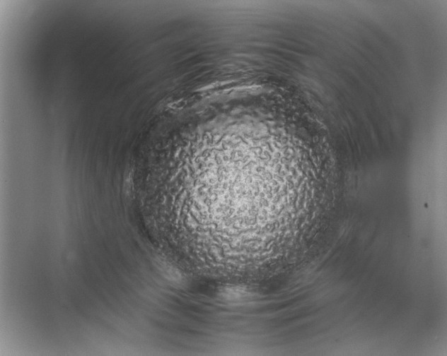 X0000070210177200606091634