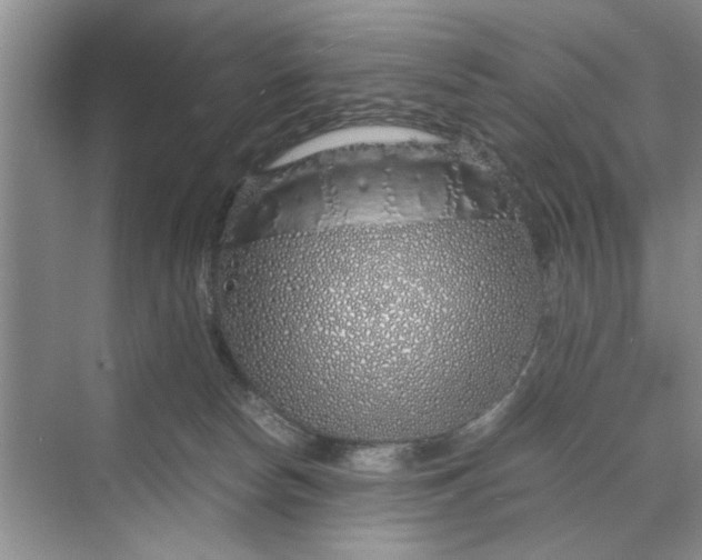 X0000070210178200606091634