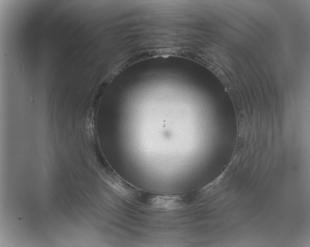 X0000070210179200606091634