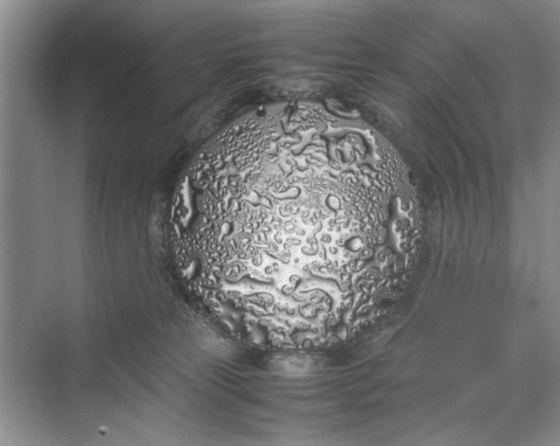 X0000070210181200606091634