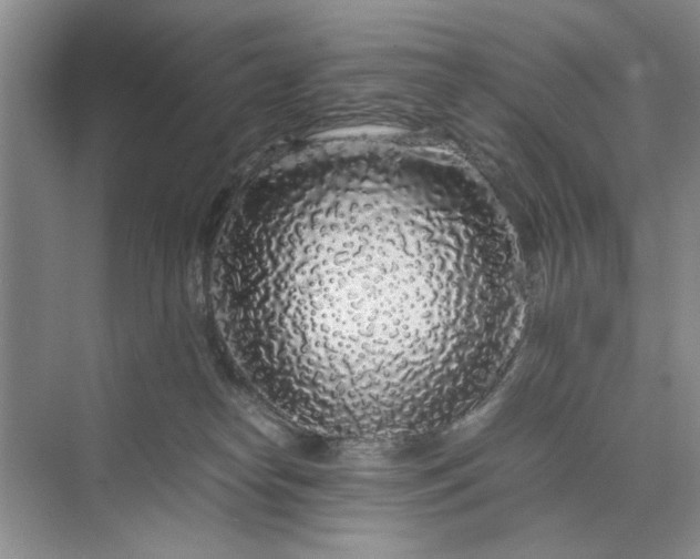 X0000070210182200606091634