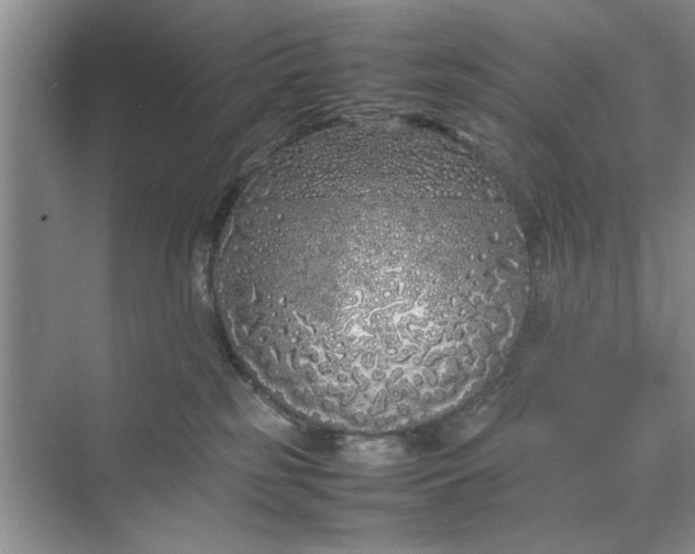 X0000070210185200606091634