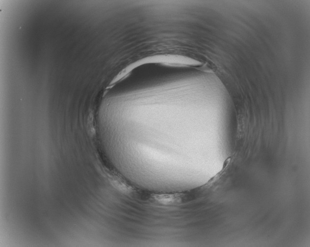 X0000070210187200606091634