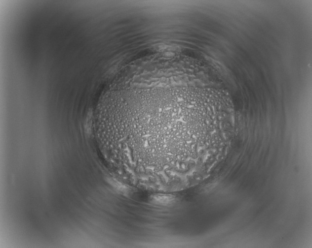 X0000070210189200606091634