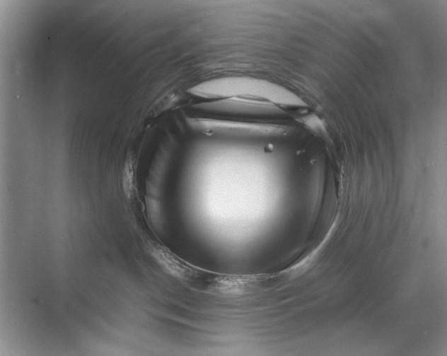 X0000070210190200606091634