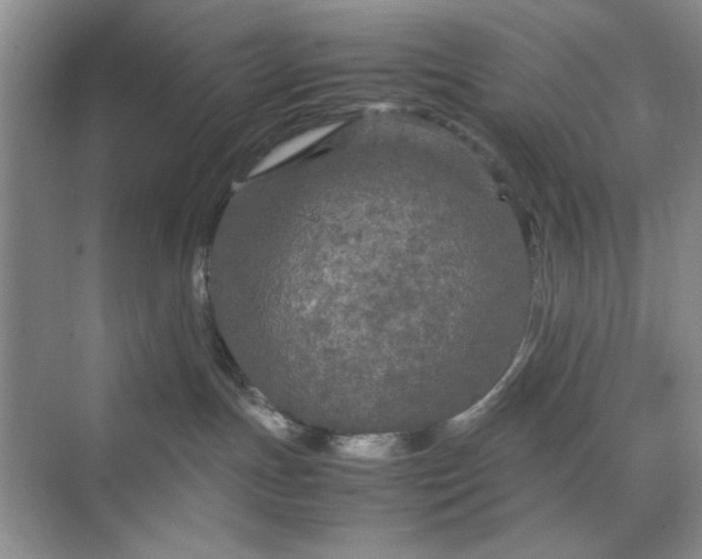 X0000070210191200606091634